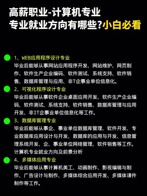 计算机应用的就业-计算机应用的就业前景和就业方向？