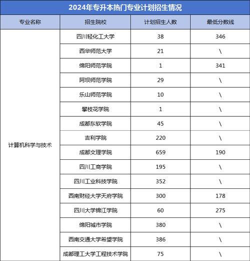 成都市计算机职业学校_成都计算机学院