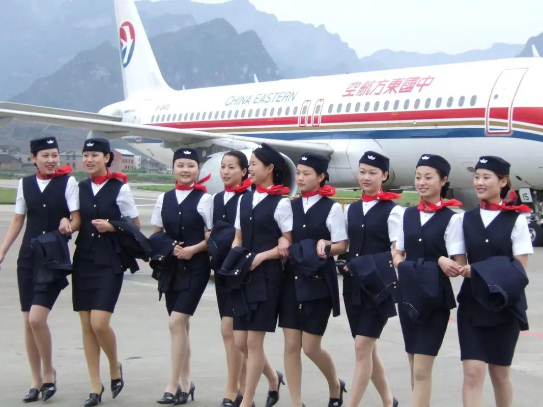 公办专科空乘学校，公办的空乘专业的专科院校