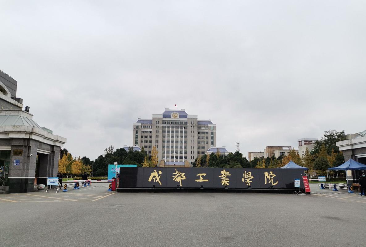 成都大丰职业学校-成都大丰职业学校是大专吗？